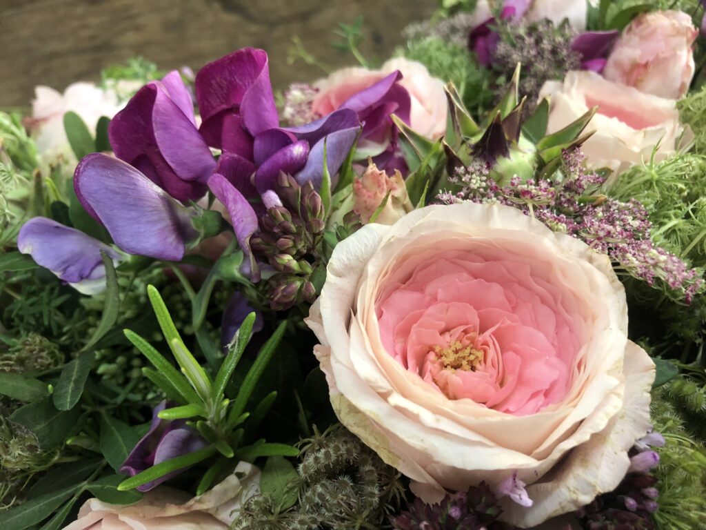 Sommerblumen lila-rosa